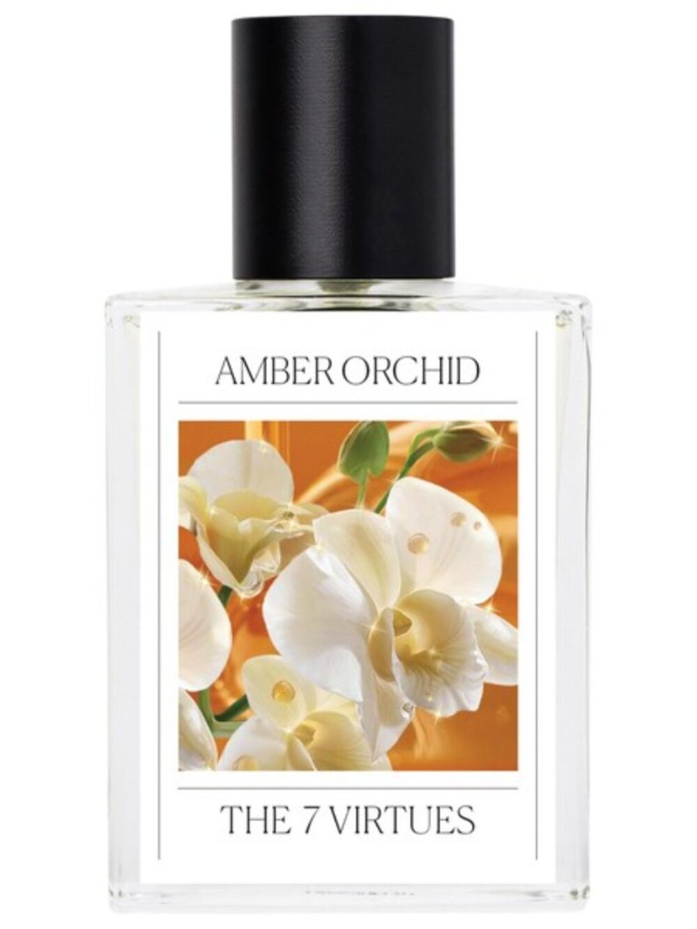 The 7 Virtues Amber Orchid